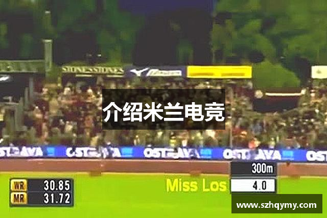 介绍米兰电竞